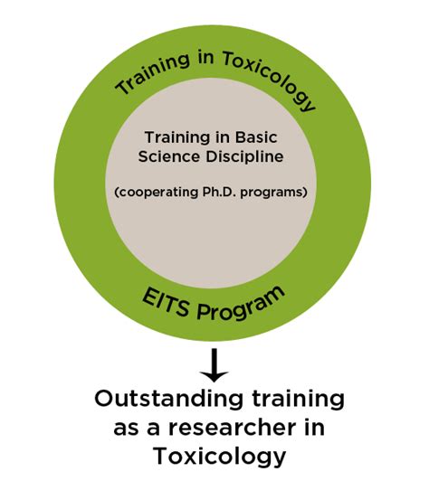 msu-iit portal|eits program msu.